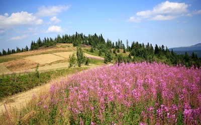 Wędrówka po Gorcach