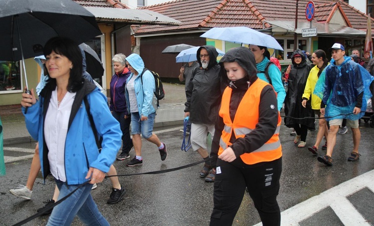 409. Piesza Pielgrzymka Żywiecka na Jasną Górę - 2020