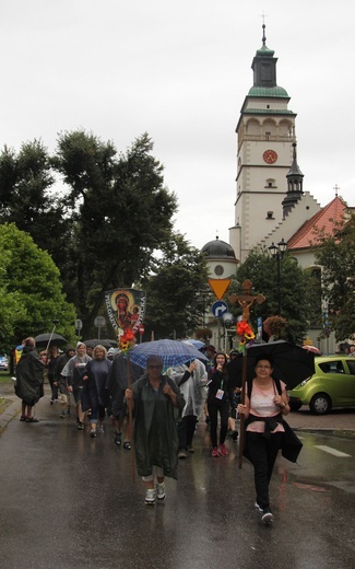 409. Piesza Pielgrzymka Żywiecka na Jasną Górę - 2020