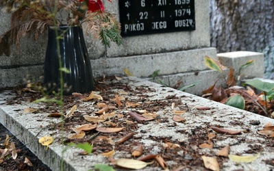 Cześć ich pamięci! Sprzątanie grobów bohaterów wojny polsko-bolszewickiej