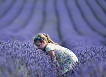 Dziewczynka na farmie lawendy.
Hitchen,
Wielka Brytania, 12 sierpnia 2020 r.