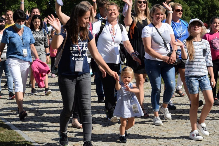 38. PPT - grupa 25, wejście