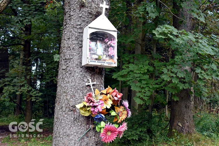 Pielgrzymka kleryków przed obłóczynami