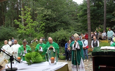 Chcę normalnie żyć, w trzeźwości