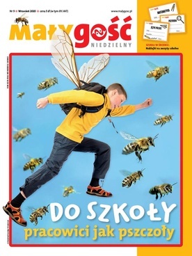 Do szkoły pracowici jak pszczoły