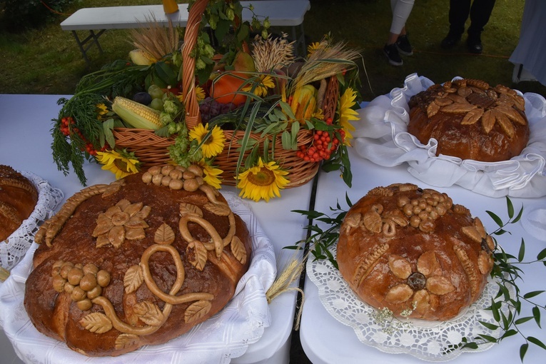 Dożynki w Gminie Świdnica