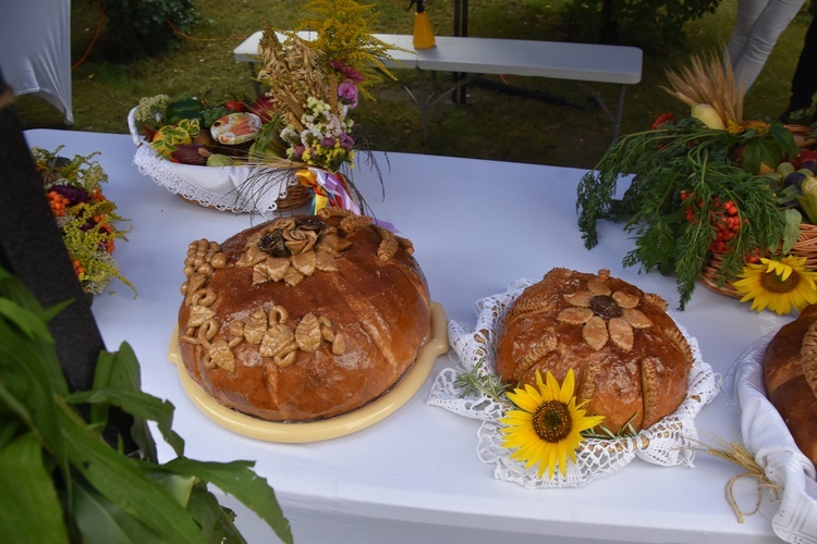 Dożynki w Gminie Świdnica