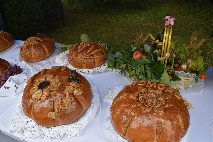 Dożynki w Gminie Świdnica