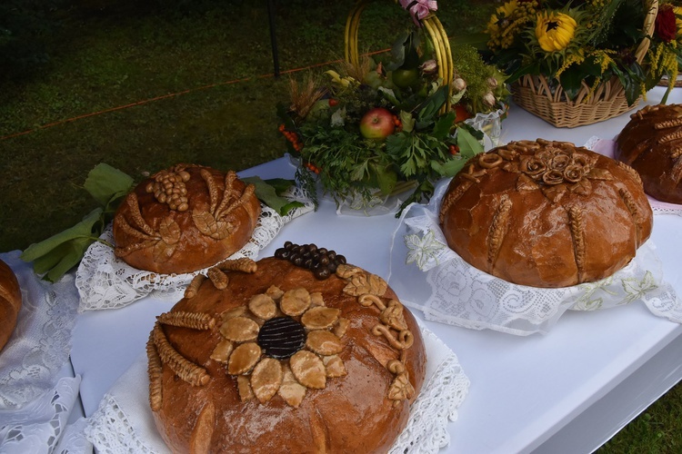 Dożynki w Gminie Świdnica