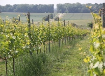 By był plon, trzeba pracy