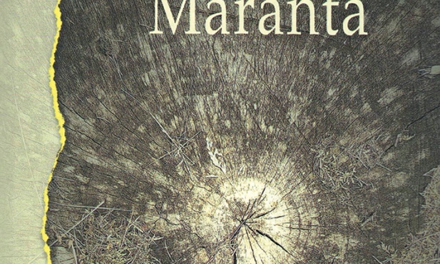 Birutė Jonuškaitė "Maranta". Pogranicze, Sejny 2020 ss. 345