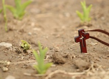 Pakistan: Chrześcijanin skazany na śmierć za bluźnierstwo