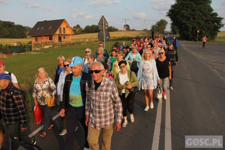 Pielgrzymka Ziemi Głogowskiej 