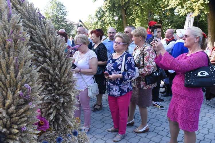 Dożynki, choć wojewódzkie, były skromne. Kilka kop żniwnych przyciągnęło jednak wielu zainteresowanych sposobem ich wykonania.