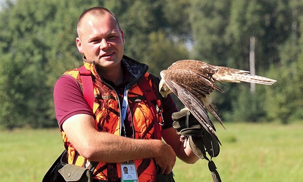 Patrolujące lotnisko ptaki są karmione wyłącznie przez opiekuna, nie polują na pasie startowym.