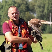 Patrolujące lotnisko ptaki są karmione wyłącznie przez opiekuna, nie polują na pasie startowym.