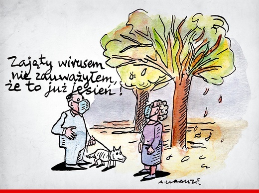 Rok 2020 w rysunkach Andrzeja Krauzego