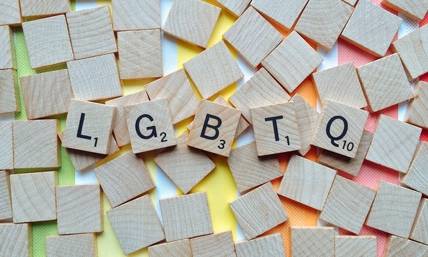 Dr Próchniewicz: Homoseksualizm wynika z pewnych deficytów na etapie wcześniejszego życia