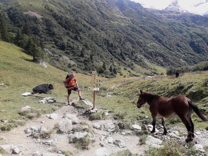 Wyprawa kleryka na Mont Blanc