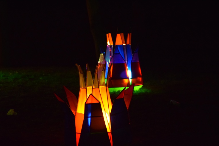 Skierniewice. Festiwal światła