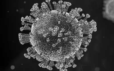 Padł rekord nowych potwierdzonych zakażeń koronawirusem w Polsce