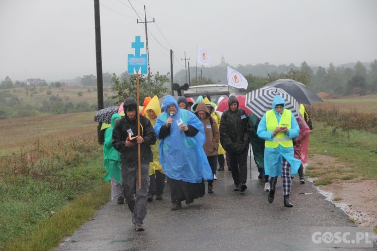 III Diecezjalna Piesza Pielgrzymka Pokutna z Ośna Lubuskiego do Górzycy