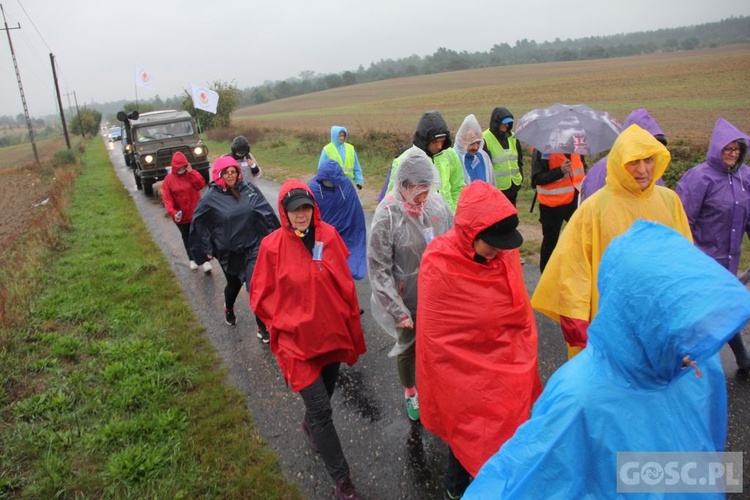 III Diecezjalna Piesza Pielgrzymka Pokutna z Ośna Lubuskiego do Górzycy