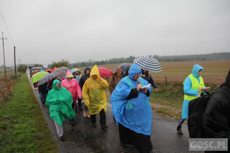 III Diecezjalna Piesza Pielgrzymka Pokutna z Ośna Lubuskiego do Górzycy