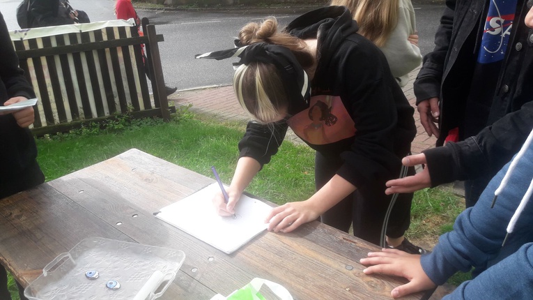 Festiwal młodych w Sulistrowicach