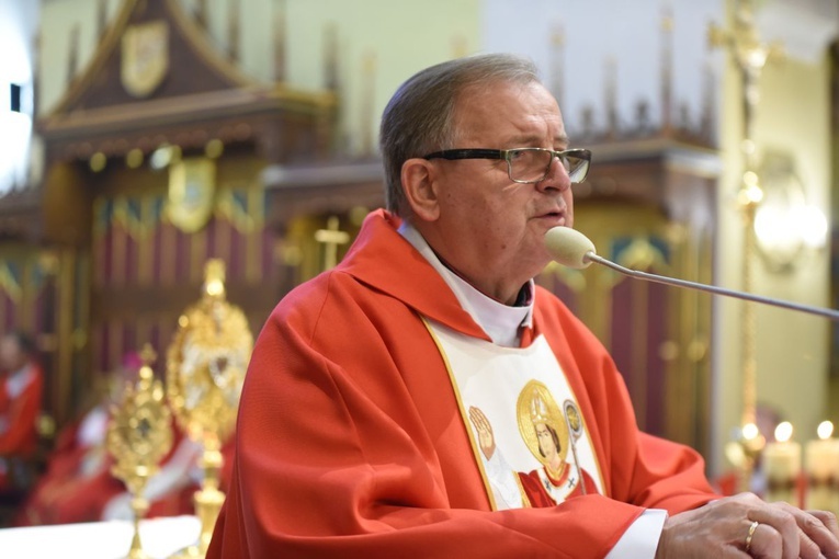 39. Pielgrzymka Apostolatu Trzeźwości do Szczepanowa