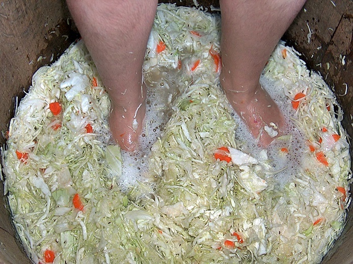 21.09.20| Kapustę czas zakisić