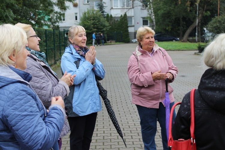 Koronka w pogodę i niepogodę