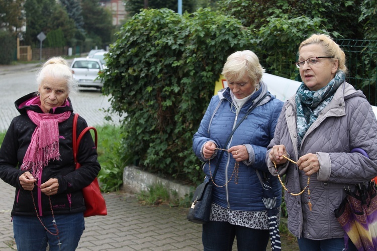 Koronka w pogodę i niepogodę