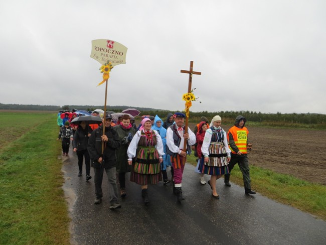 Pielgrzymka z Opoczna do Studzianny