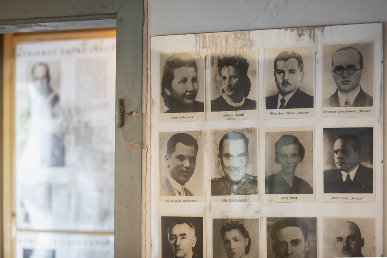 Willa Palace - katownia Podhala