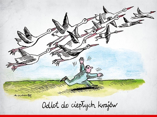 Rok 2020 w rysunkach Andrzeja Krauzego