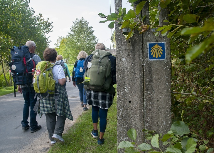 Na camino choć na kilka dni 