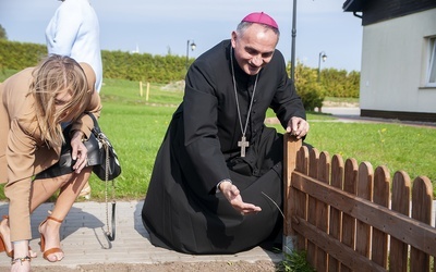 Żonkile rosną mimo pandemii. Pola Nadziei w Darłowie 