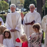 Niedziela św. Franciszka