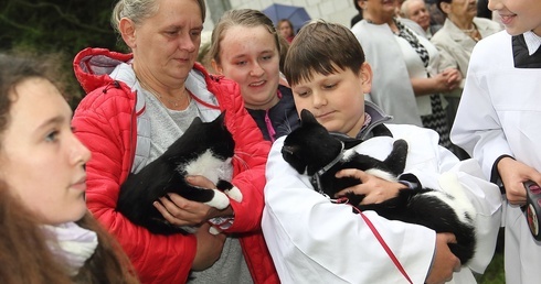 Dzięki Bogu za stworzenie. Niedziela św. Franciszka w Tymieniu