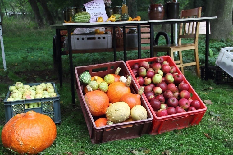 Niedziela św. Franciszka w Tymieniu