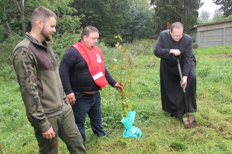 Niedziela św. Franciszka w Tymieniu