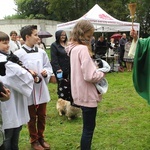 Niedziela św. Franciszka w Tymieniu