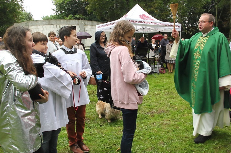 Niedziela św. Franciszka w Tymieniu