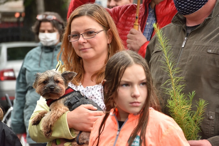 Świętowanie w parafii św. Franciszka z Asyżu