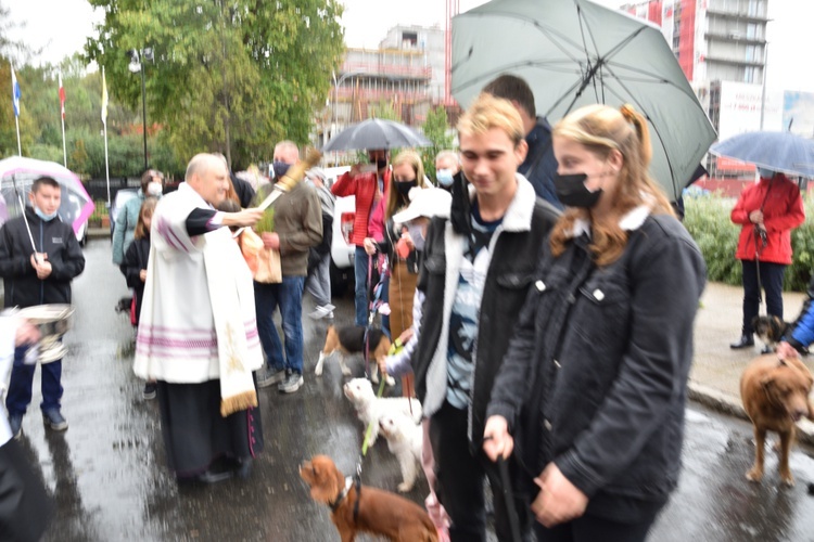 Świętowanie w parafii św. Franciszka z Asyżu