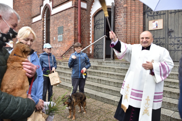 Świętowanie w parafii św. Franciszka z Asyżu