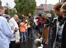 Modlitwa i ekologia w gdańskim kościele św. Franciszka