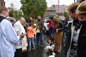 Modlitwa i ekologia w gdańskim kościele św. Franciszka