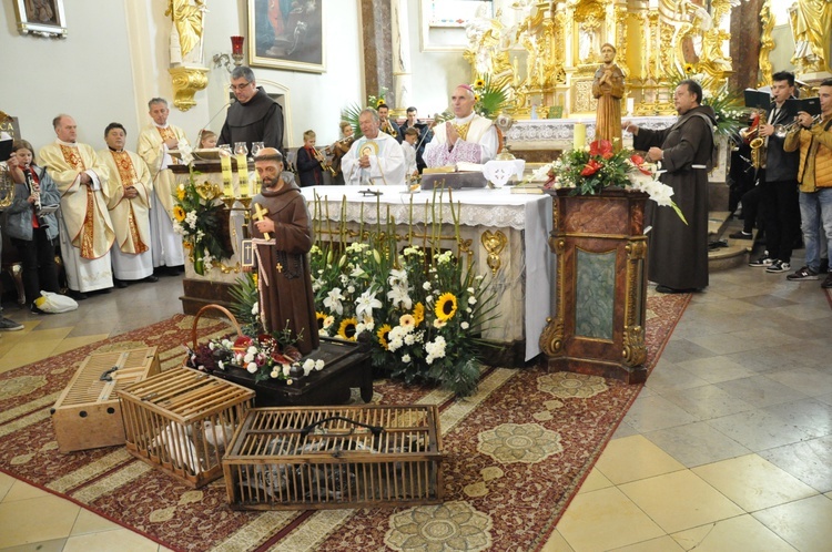 Pielgrzymka hodowców gołębi i orkiestr kalwaryjskich